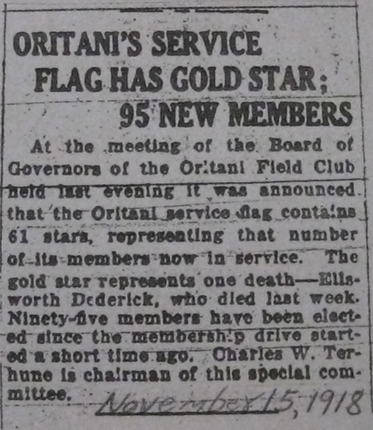 November 15 1918 article